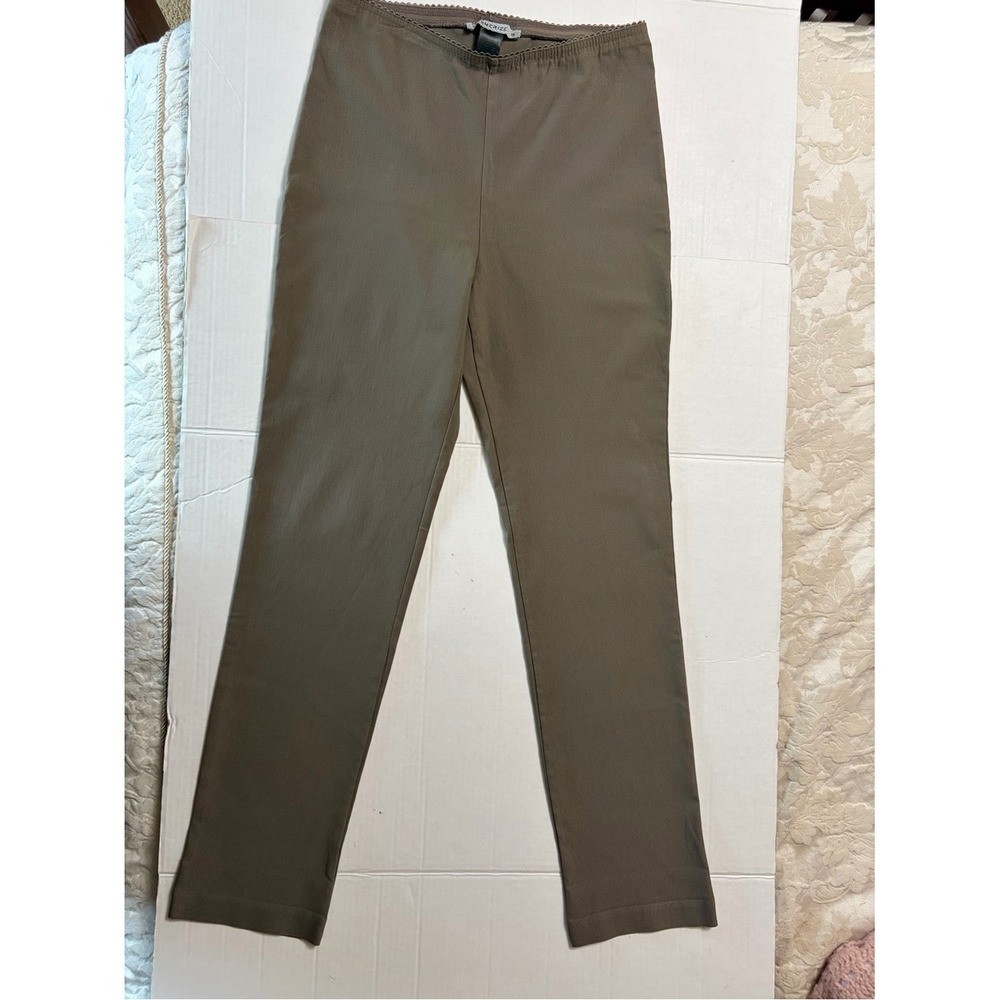 Mesmerize Pull On Pants 10 Taupe Brown Straight Leg Heavy Stretch Comfort Career